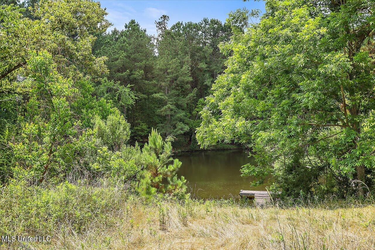 774 Athens Road Mendenhall, MS 39114 - Photo 35 of 35 37-774 Athens Rd