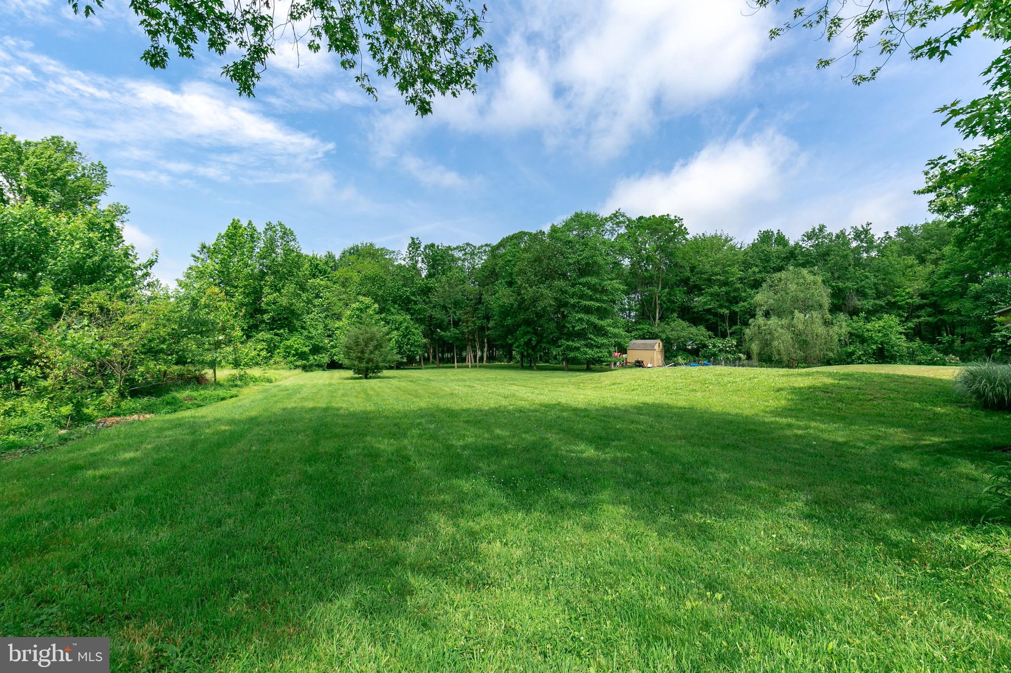 59 Chest-Georgetown Road Columbus, NJ 08022 - Photo 30 of 30 a view of green field with trees in the background