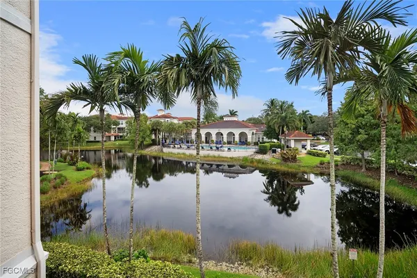 a lake view with palm trees