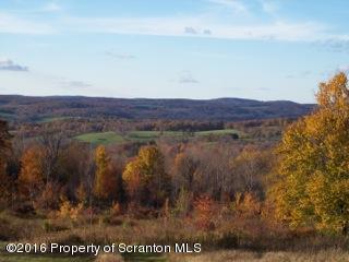 1003 Chipmunk Road Thompson, PA 18465 - Photo 25 of 31 Gallery Image 25