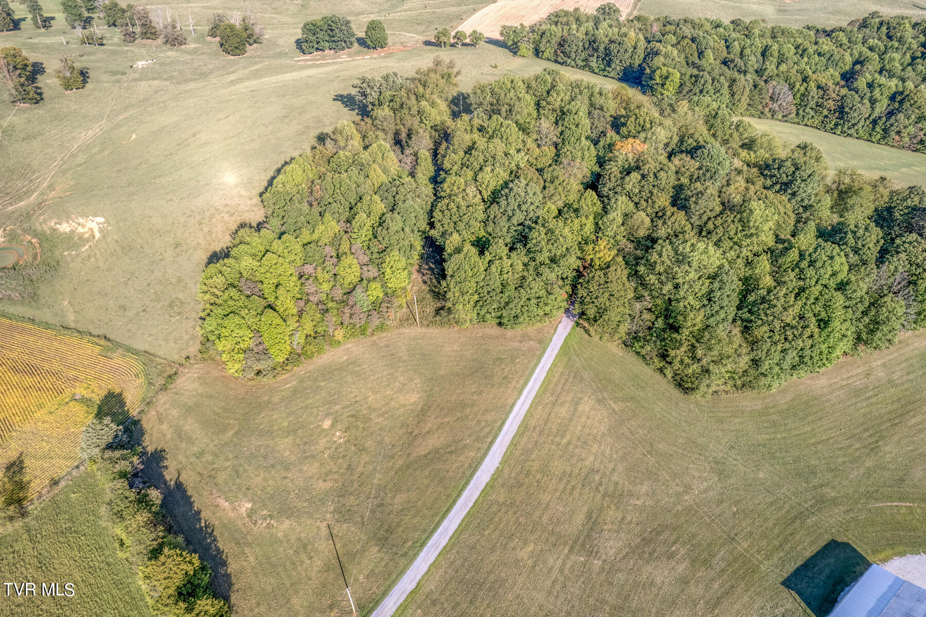 3380 Clear Springs Road Limestone, TN 37681 - Photo 91 of 93 3380 Clear Springs Rd