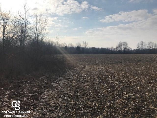 V/l Ravenswood Parcel, Unit 2 Goodells, MI 48027 - Photo 5 of 5