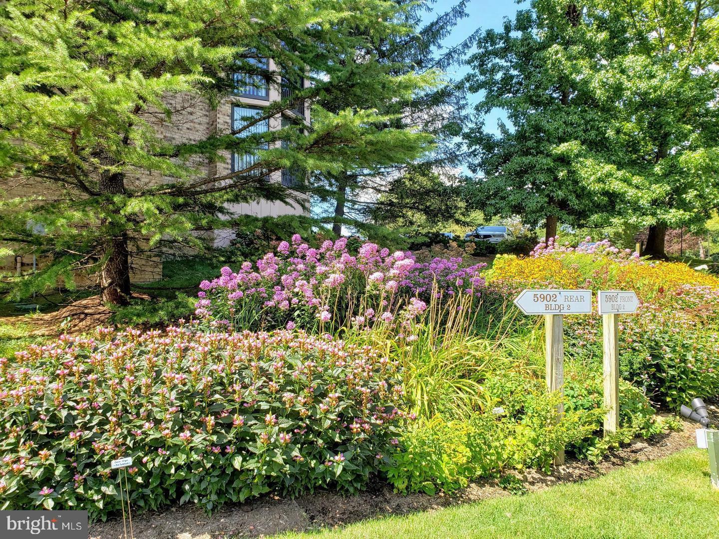 5902 Mt Eagle Drive, Unit 905 Alexandria, VA 22303 - Photo 37 of 55