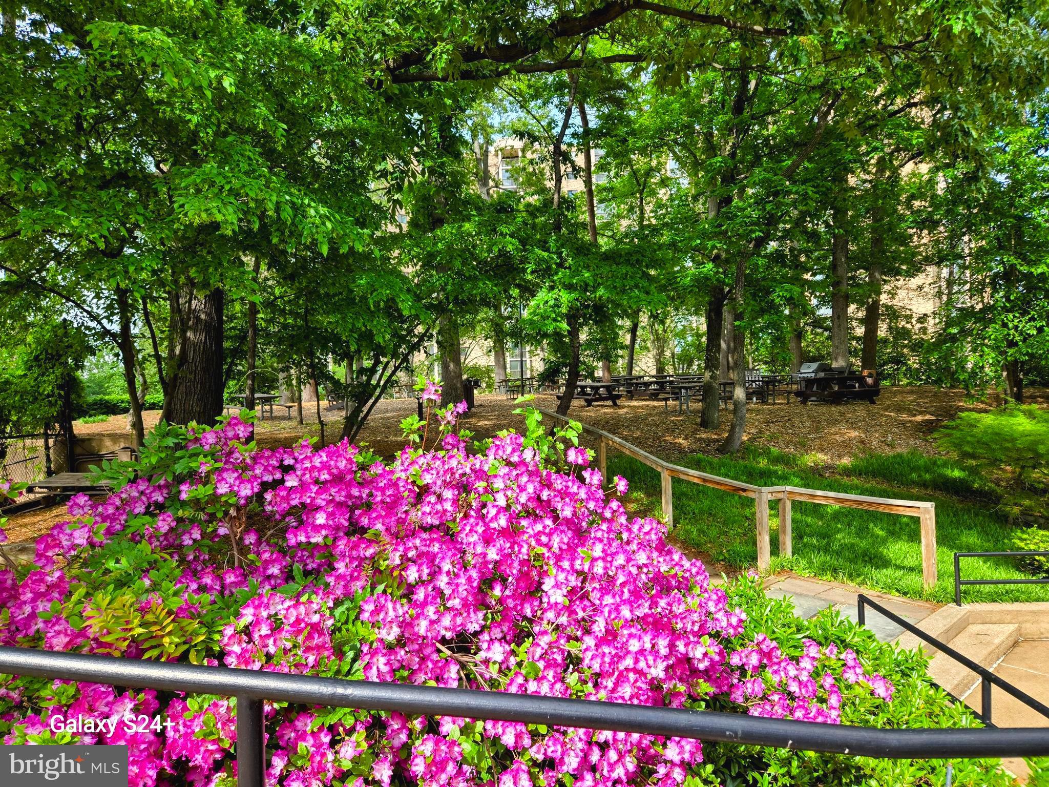 5902 Mt Eagle Drive, Unit 905 Alexandria, VA 22303 - Photo 53 of 55 a street view