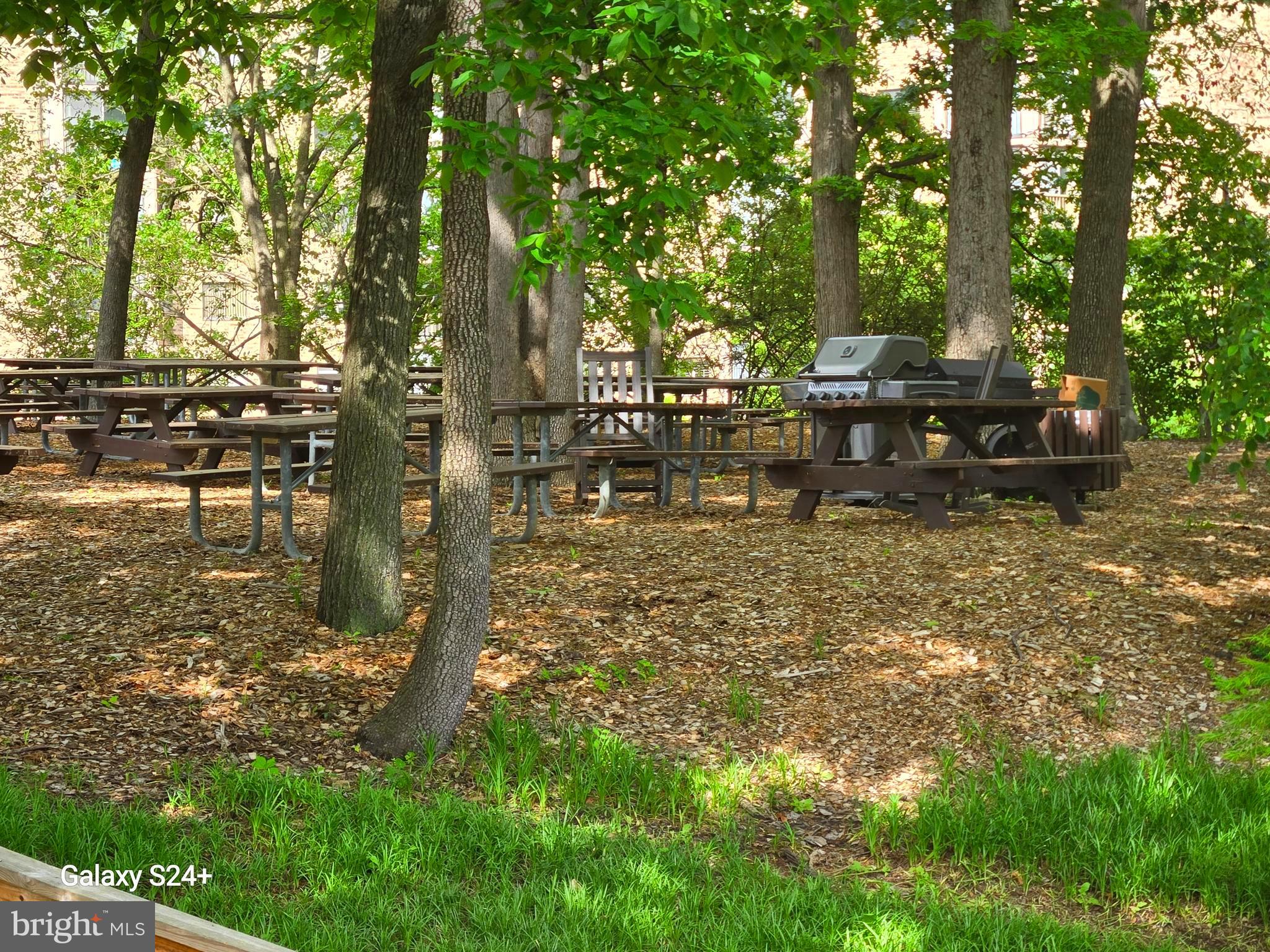 5902 Mt Eagle Drive, Unit 905 Alexandria, VA 22303 - Photo 54 of 55 a backyard of a house with lots of green space