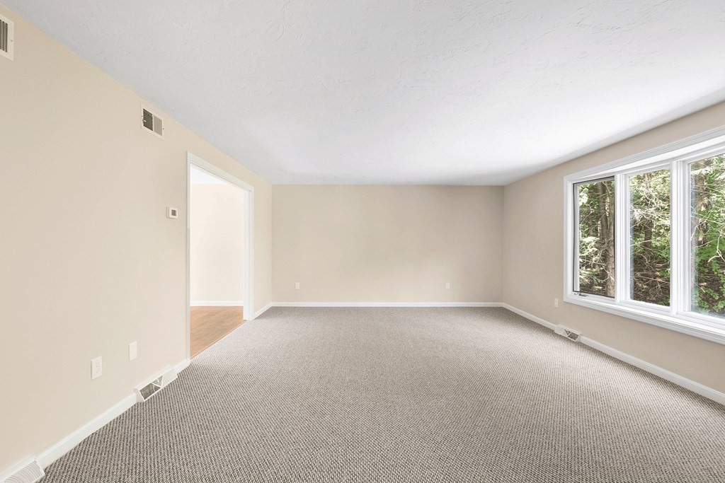 9 Spring Street, Unit 9 Millis, MA 02054 - Photo 8 of 25 Gallery Image 8