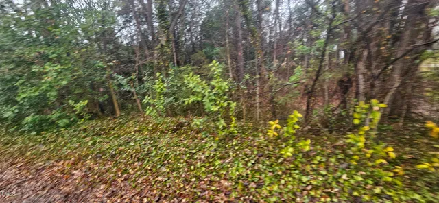 a view of a tree in a yard