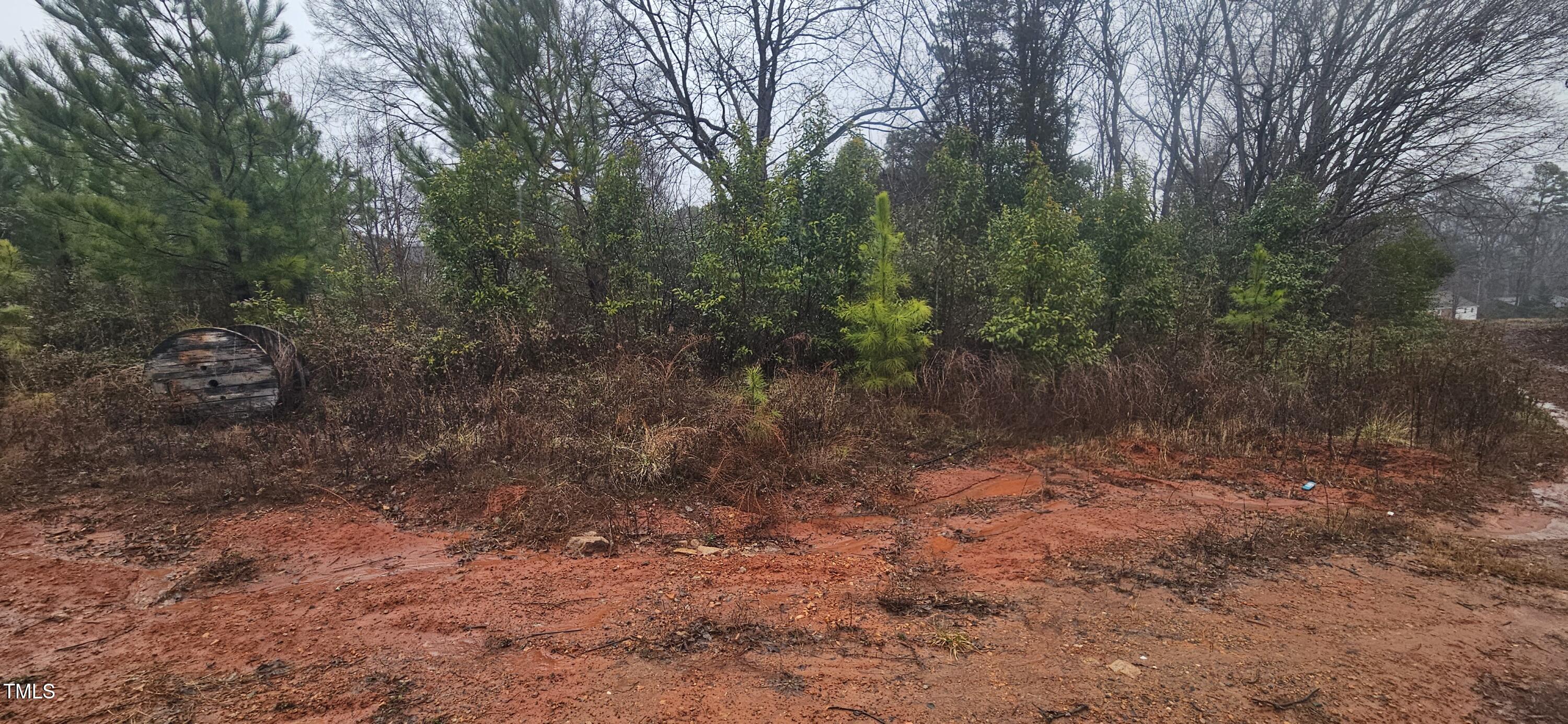 235 Madison Road China Grove, NC 28023 - Photo 4 of 9 a view of a forest with trees in the background