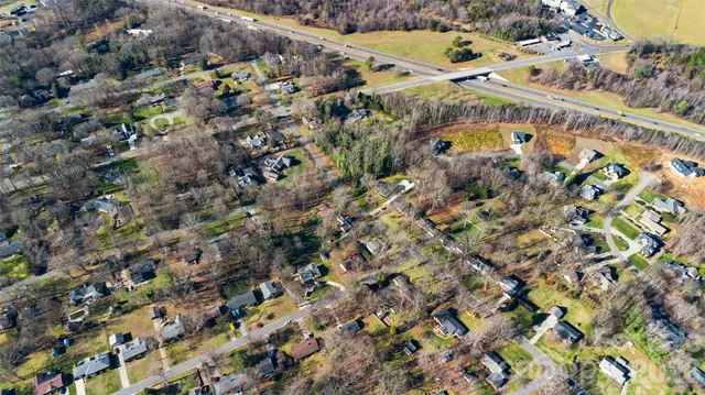 a bird view of house