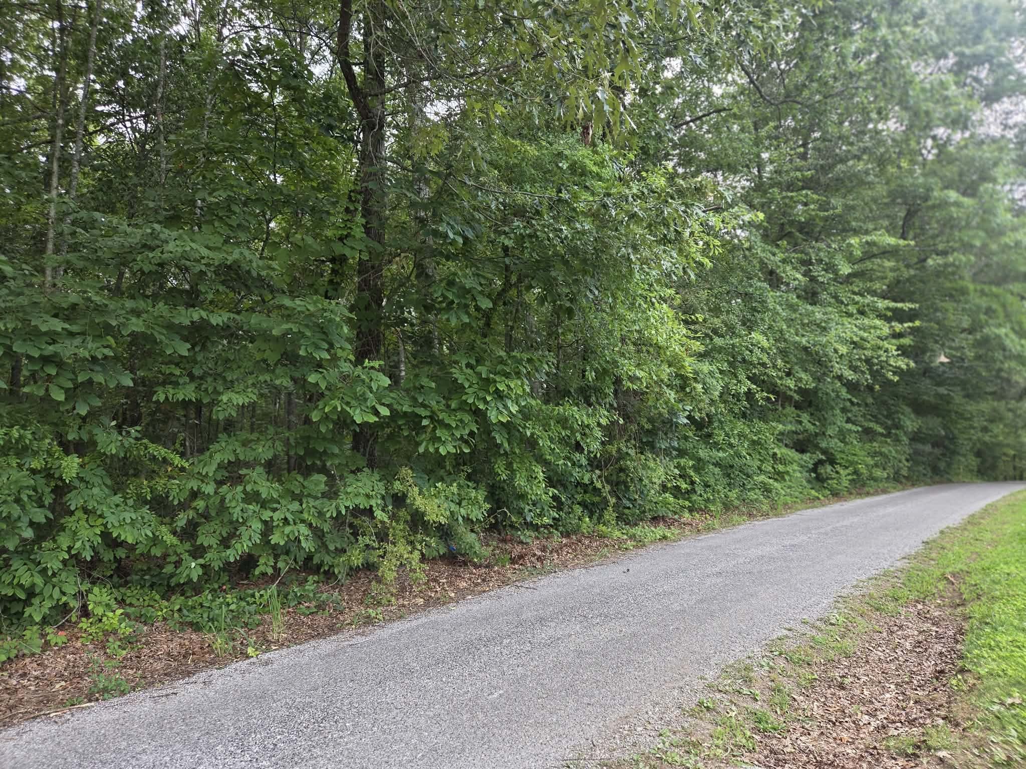 0 Rogers Road Crossville, TN 38571 - Photo 3 of 5