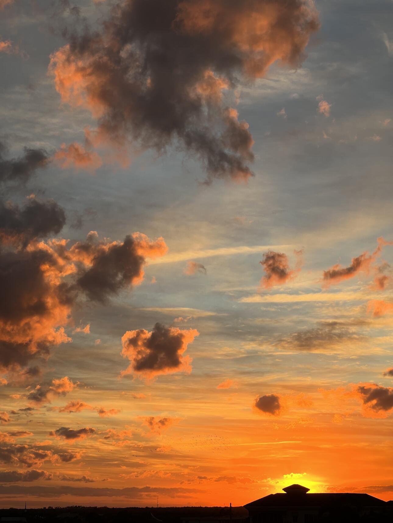 155 East Boca Raton Road, Unit 701 Boca Raton, FL 33432 - Photo 66 of 69 Balcony sunset