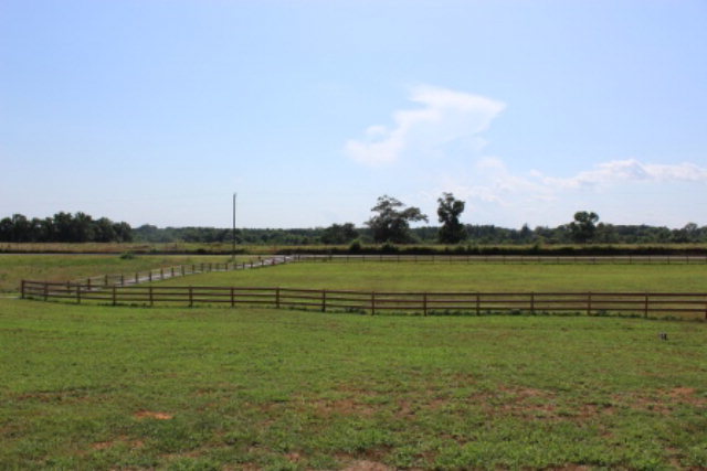 700 King Road Forsyth, GA 31029 - Photo 20 of 22 a view of an ocean with boats and trees in the background
