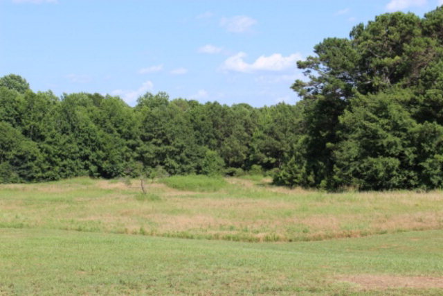 700 King Road Forsyth, GA 31029 - Photo 22 of 22 a view of ocean with green space