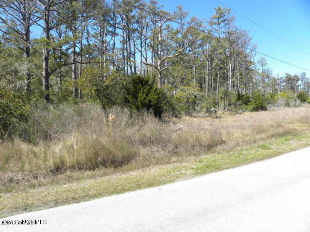 141 Through The Woods Road Marshallberg, NC 28553 - Photo 1 of 33 Front of lot