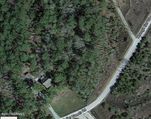 141 Through The Woods Road Marshallberg, NC 28553 - Photo 6 of 33 Through the woods 1