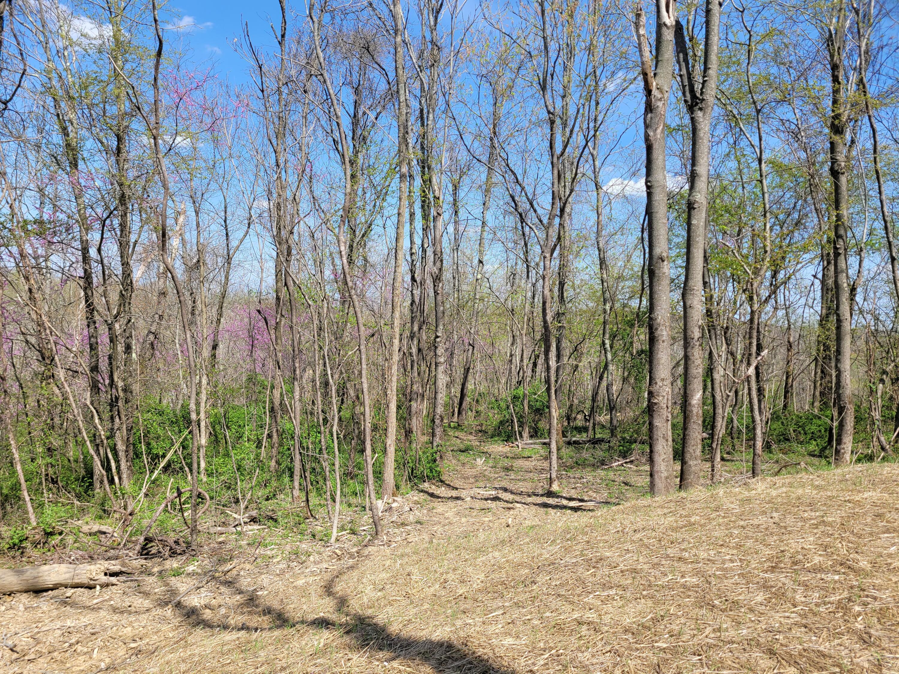 8700 Hoop Pole Road Roseville, OH 43777 - Photo 23 of 46 20220424_120651