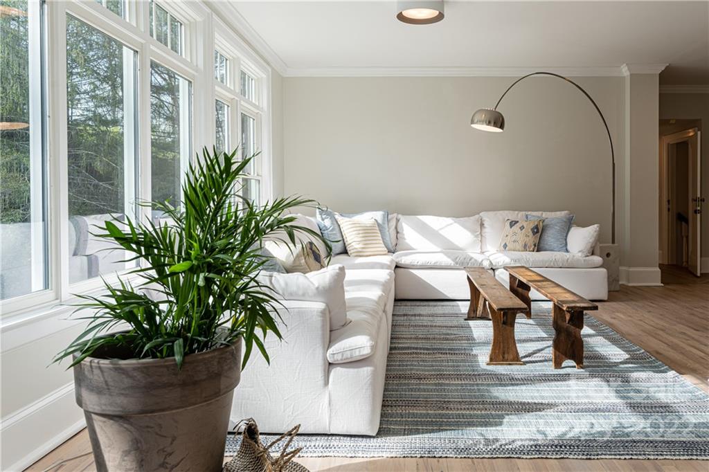 343 Vanderbilt Road Asheville, NC 28803 - Photo 23 of 48 a living room with furniture and a potted plant