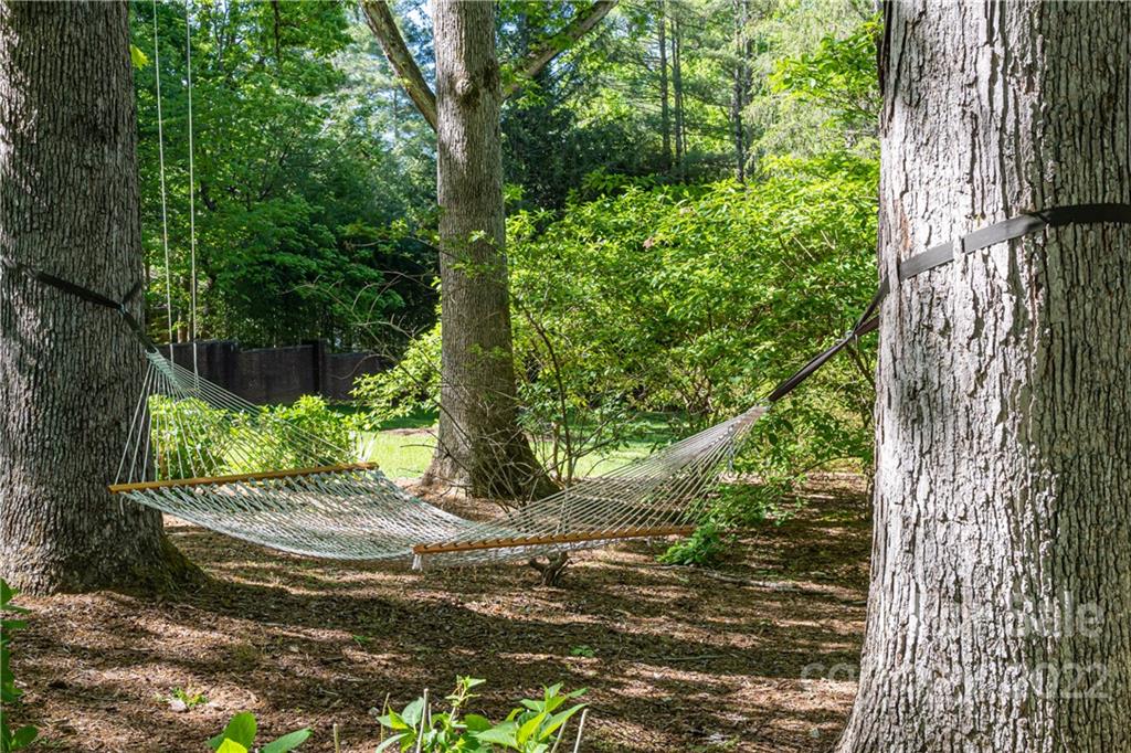 343 Vanderbilt Road Asheville, NC 28803 - Photo 44 of 48 a view of a garden with plants