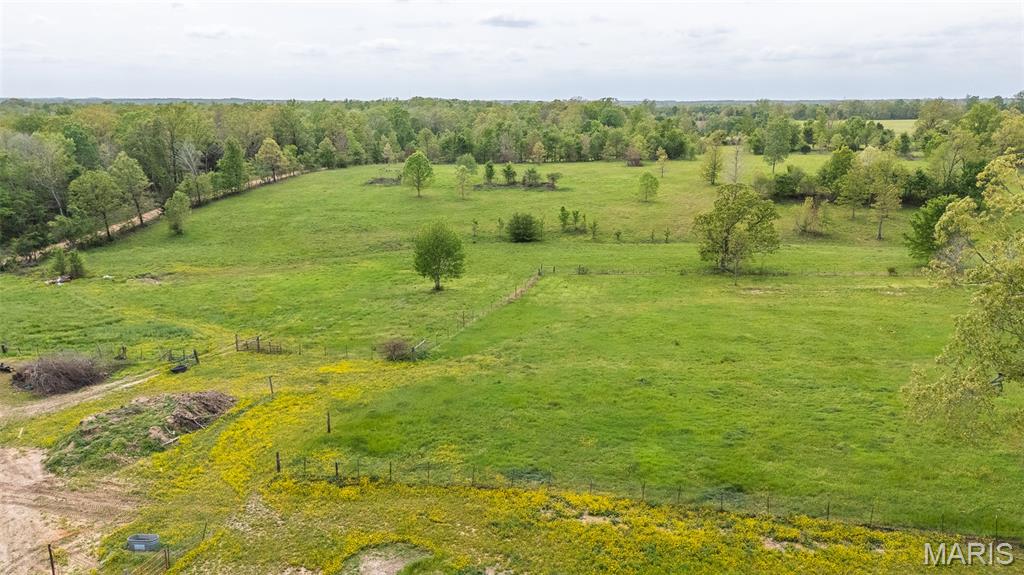 783 Ripley Route North Doniphan, MO 63935 - Photo 29 of 31