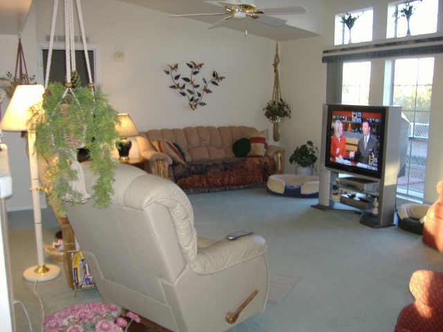 210 South Goldfield Road Apache Junction, AZ 85119 - Photo 4 of 6 Additional Photo