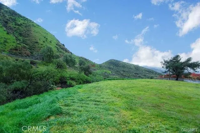 a view of a lush green space