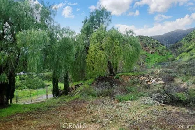a view of a trees with a yard
