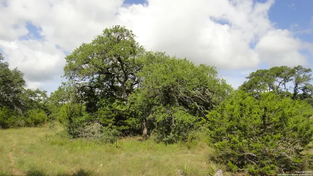 $69,000 | 116 Peter Kleid Loop, Blanco, TX 78606