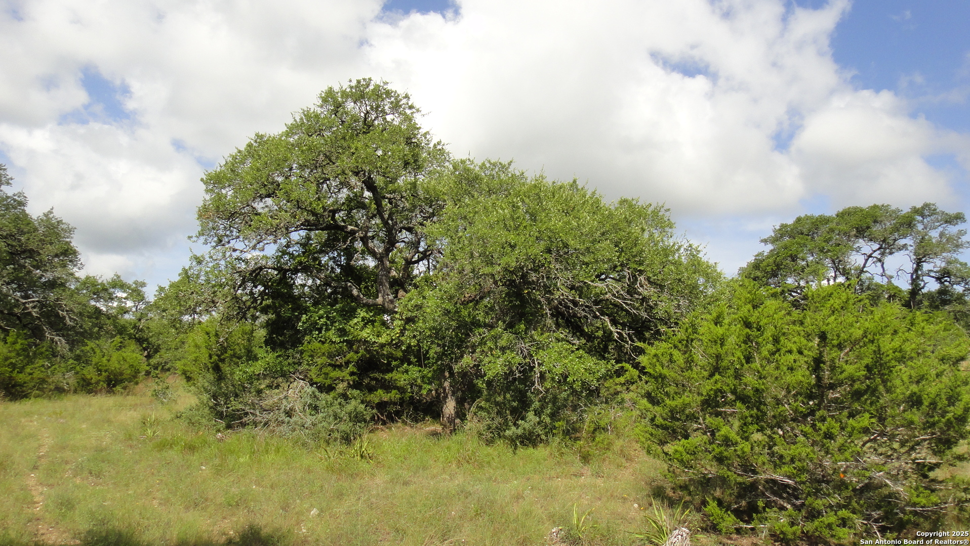 116 Peter Kleid Loop Blanco, TX 78606 - Photo 11 of 14