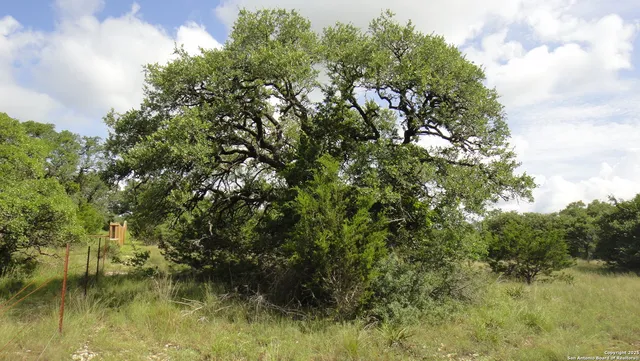 $69,000 | 116 Peter Kleid Loop, Blanco, TX 78606