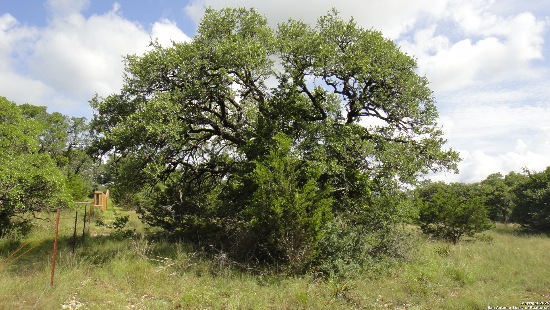 116 Peter Kleid Loop Blanco, TX 78606 - Photo 8 of 14