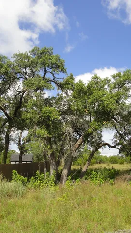 $69,000 | 116 Peter Kleid Loop, Blanco, TX 78606