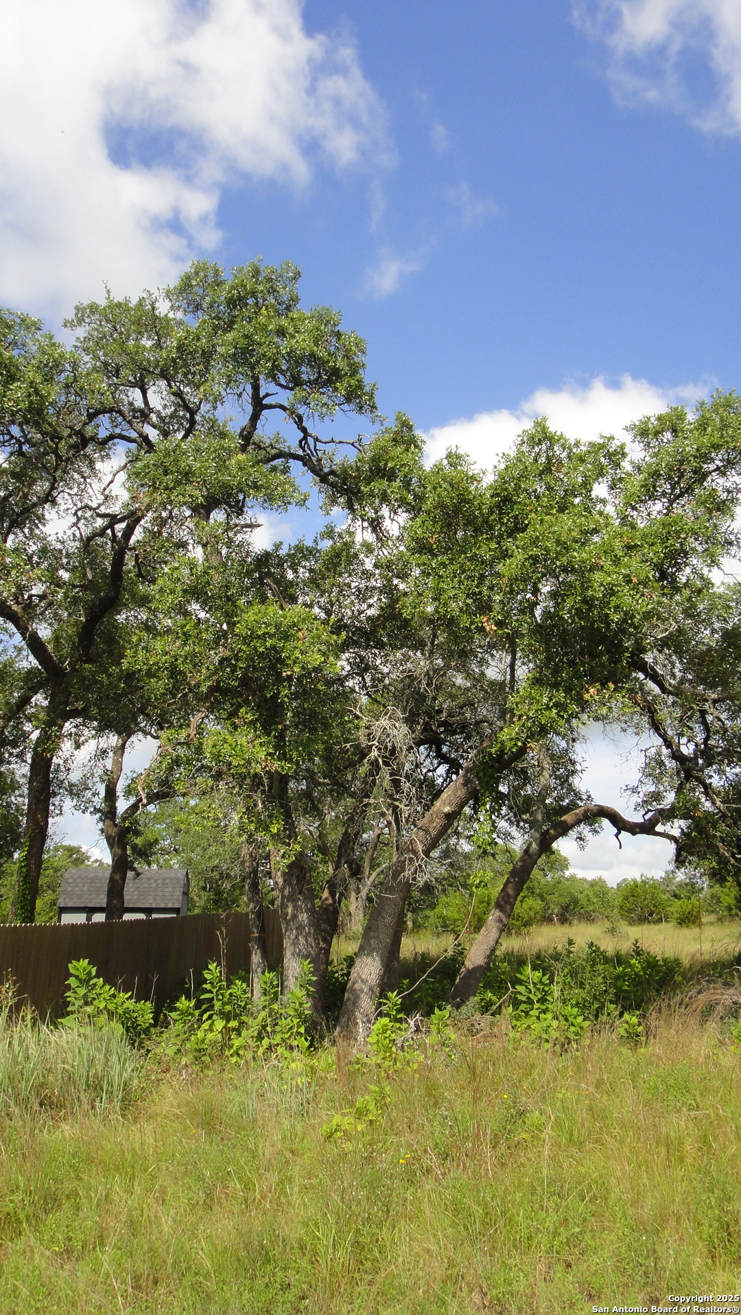 116 Peter Kleid Loop Blanco, TX 78606 - Photo 9 of 14