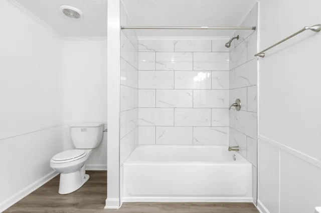 a bathroom with a toilet and a bathtub