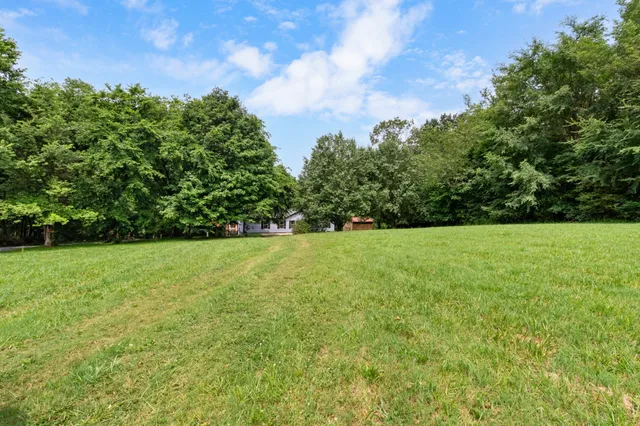 a view of yard with green space