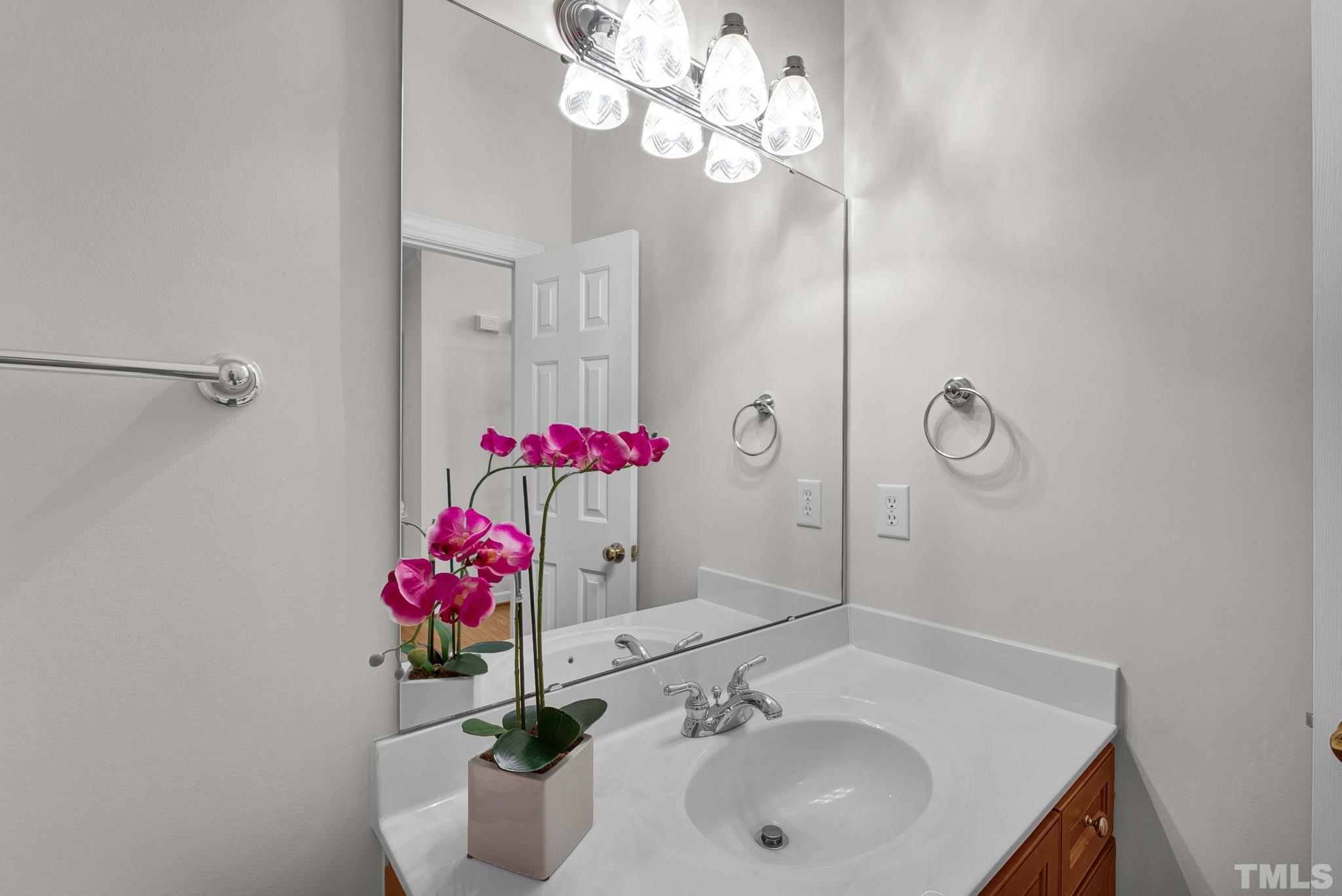 8409 Aptos Court Raleigh, NC 27613 - Photo 14 of 46 a bathroom with a sink and mirror