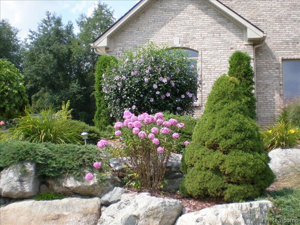 69767 Crimson Court Romeo, MI 48065 - Photo 18 of 21 P8180877