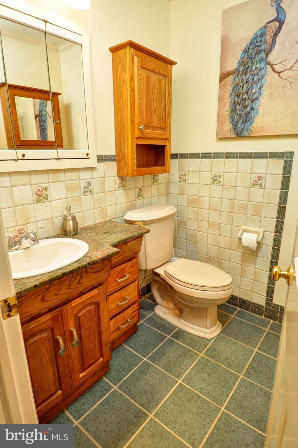 575 Creamery Road Telford, PA 18969 - Photo 37 of 49 Powder room