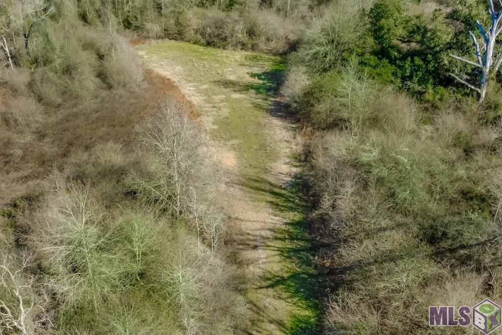 Tbd Boomerang Road Amite, LA 70422 - Photo 1 of 12 Gallery Image 1