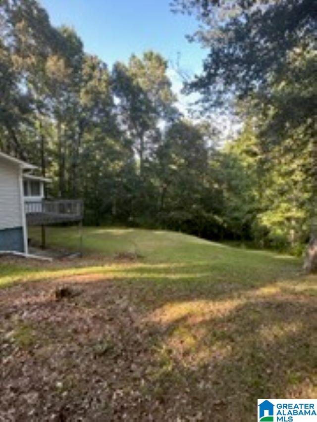130 Old Dam Road Goodwater, AL 35072 - Photo 18 of 20