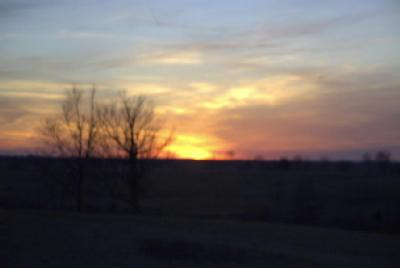 659 Redmon Road Paris, KY 40361 - Photo 7 of 8 Photo 7