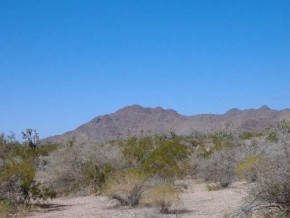 Shadow Lane Yucca, AZ 86438 - Photo 2 of 5 Additional Photo