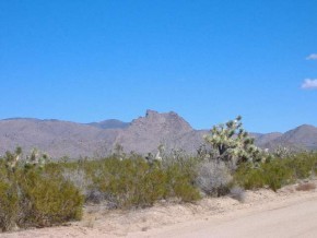 Shadow Lane Yucca, AZ 86438 - Photo 3 of 5 Additional Photo