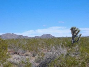 Shadow Lane Yucca, AZ 86438 - Photo 5 of 5 Additional Photo