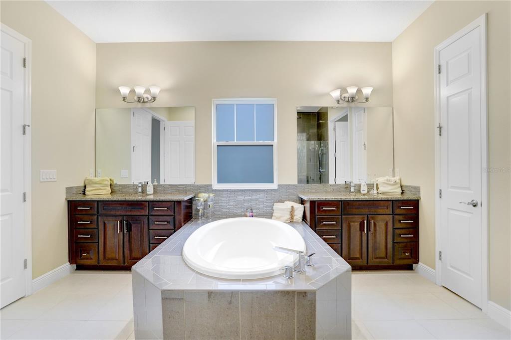 32450 Talimena Loop Wesley Chapel, FL 33543 - Photo 27 of 68 a bathroom with a granite countertop double vanity sink and mirror
