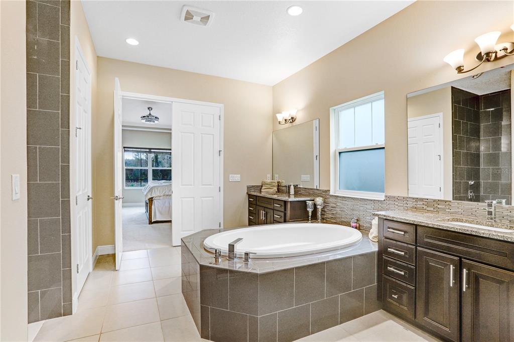 32450 Talimena Loop Wesley Chapel, FL 33543 - Photo 28 of 68 a bathroom with a tub a sink and a mirror