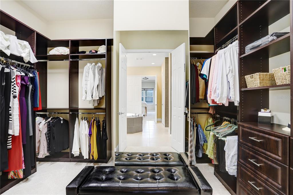 32450 Talimena Loop Wesley Chapel, FL 33543 - Photo 29 of 68 a view of a walk in closet