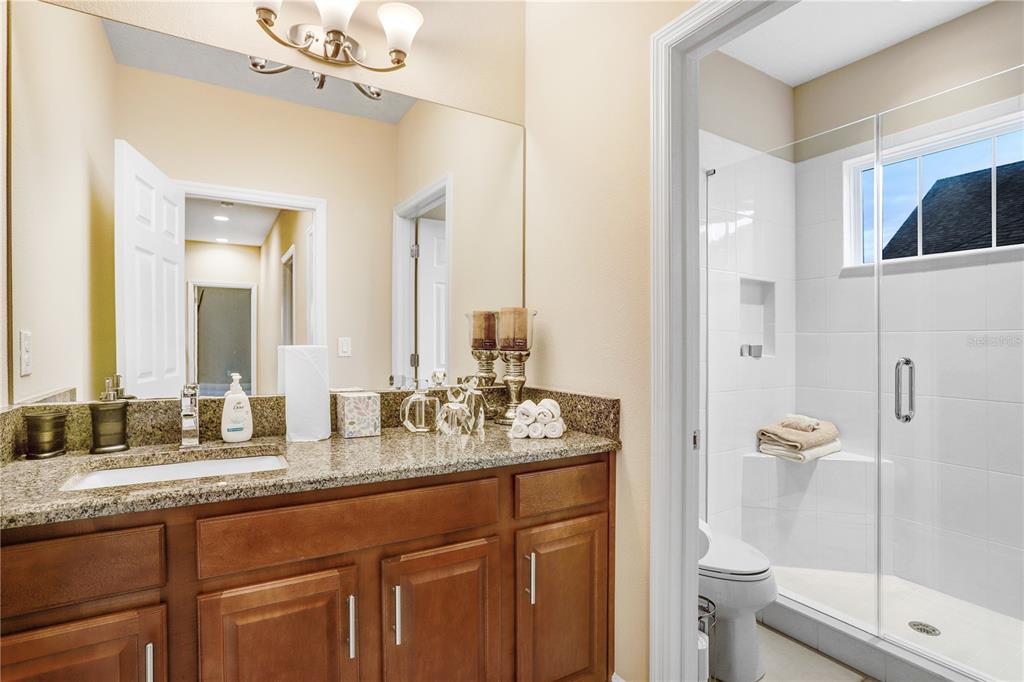 32450 Talimena Loop Wesley Chapel, FL 33543 - Photo 36 of 68 a bathroom with a granite countertop sink a toilet a mirror and shower