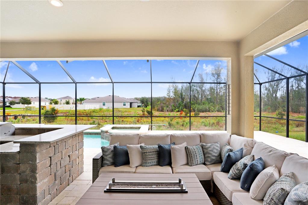 32450 Talimena Loop Wesley Chapel, FL 33543 - Photo 40 of 68 a balcony with furniture and a potted plant