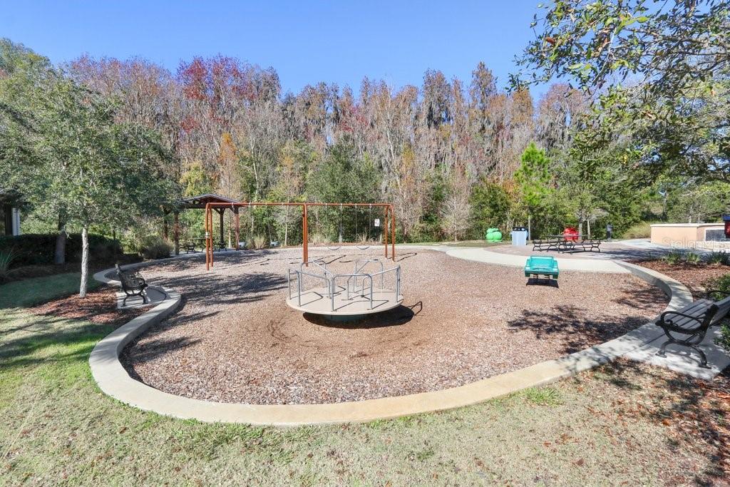 32450 Talimena Loop Wesley Chapel, FL 33543 - Photo 53 of 68 a view of a swimming pool with an outdoor space