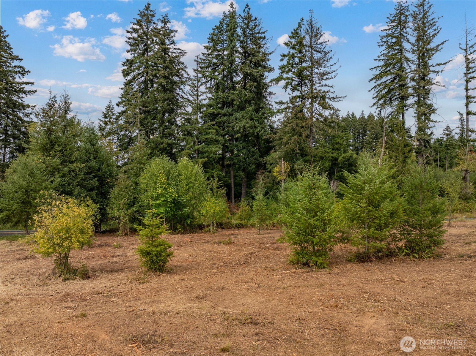 489 Yates Road Chehalis, WA 98532 - Photo 14 of 19 Gallery Image 14